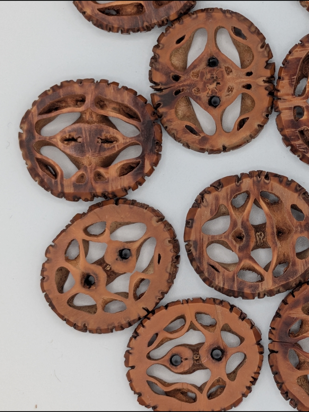 Walnut Shell Slice Buttons